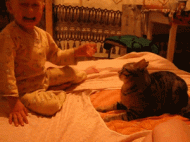 ̬GIF˲ 