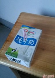 ţ̸ 