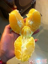 Ҳ 